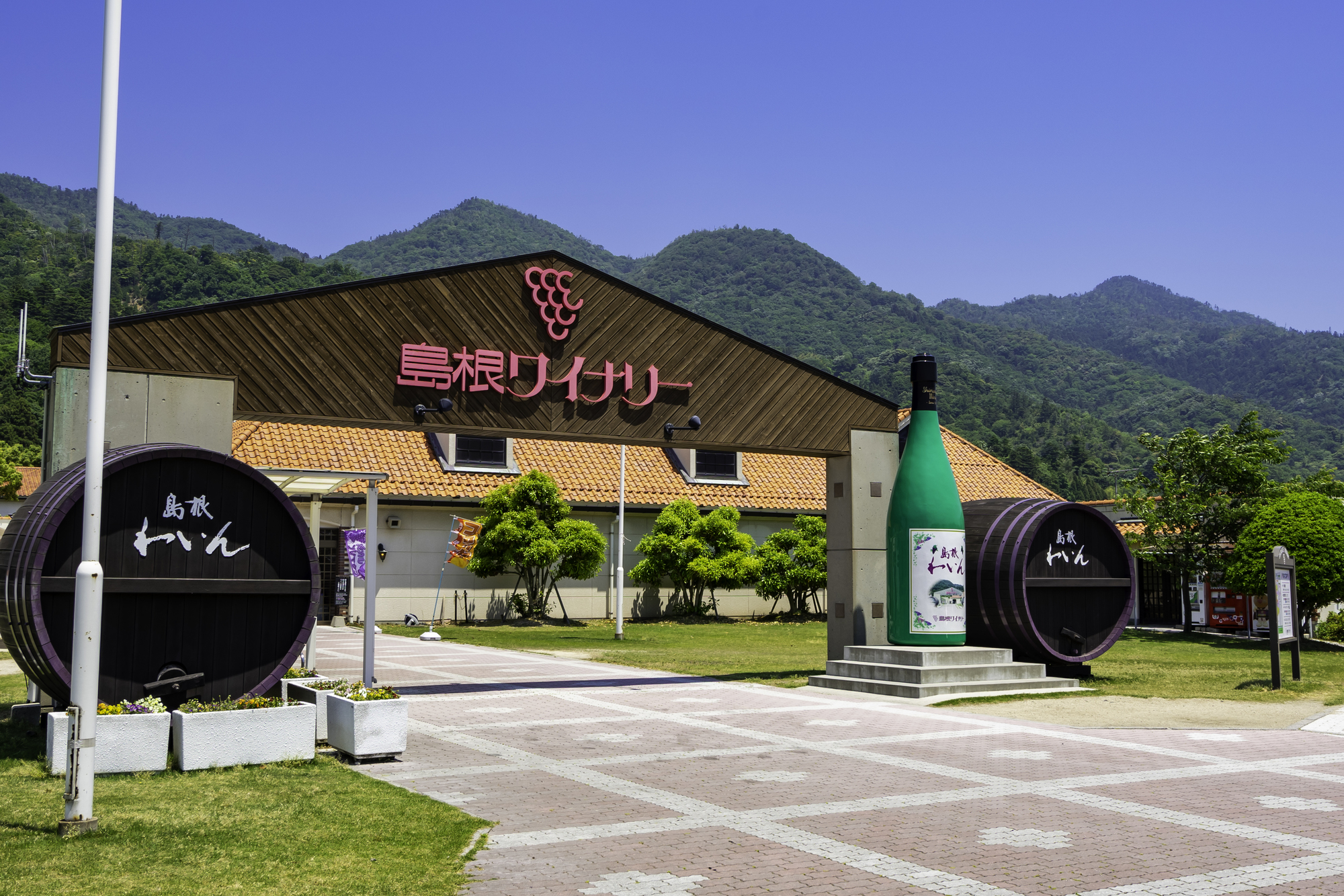 【当館から車で15分】地元産ブドウを使ったワインの試飲や、ショッピングができる施設「島根ワイナリー」