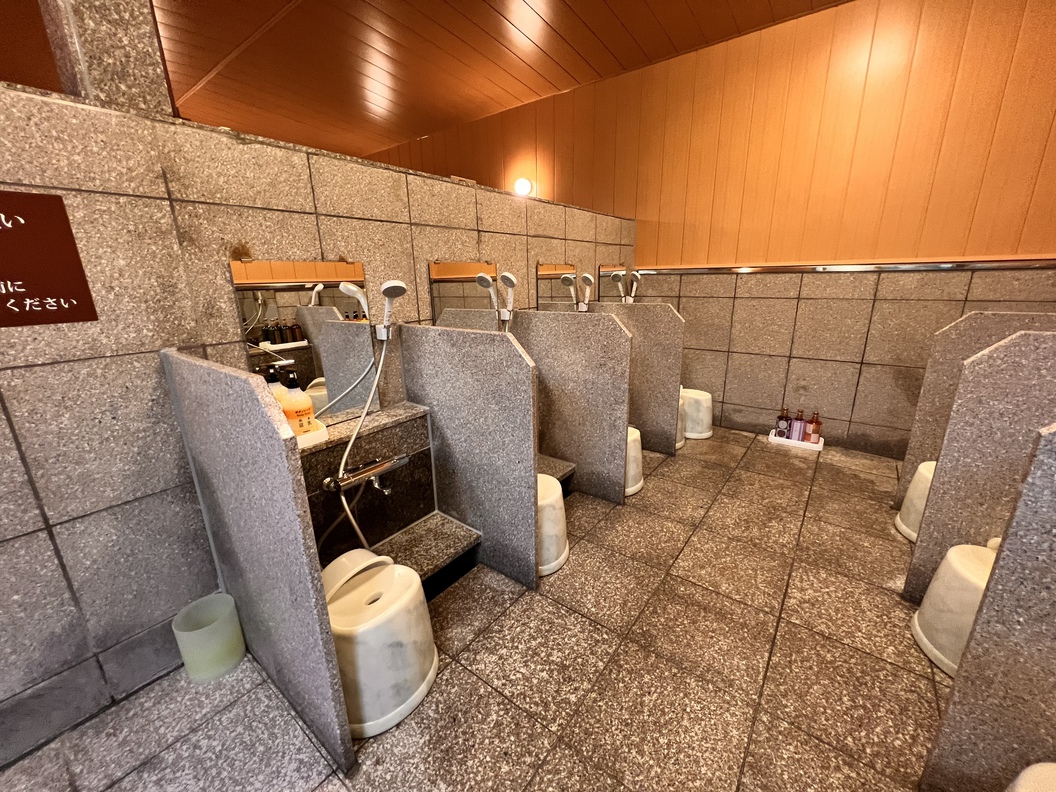 【デイユース・日帰り】平日限定！客室＋温泉♪最大9時間日帰り個室付きプラン♪(タオル無し)