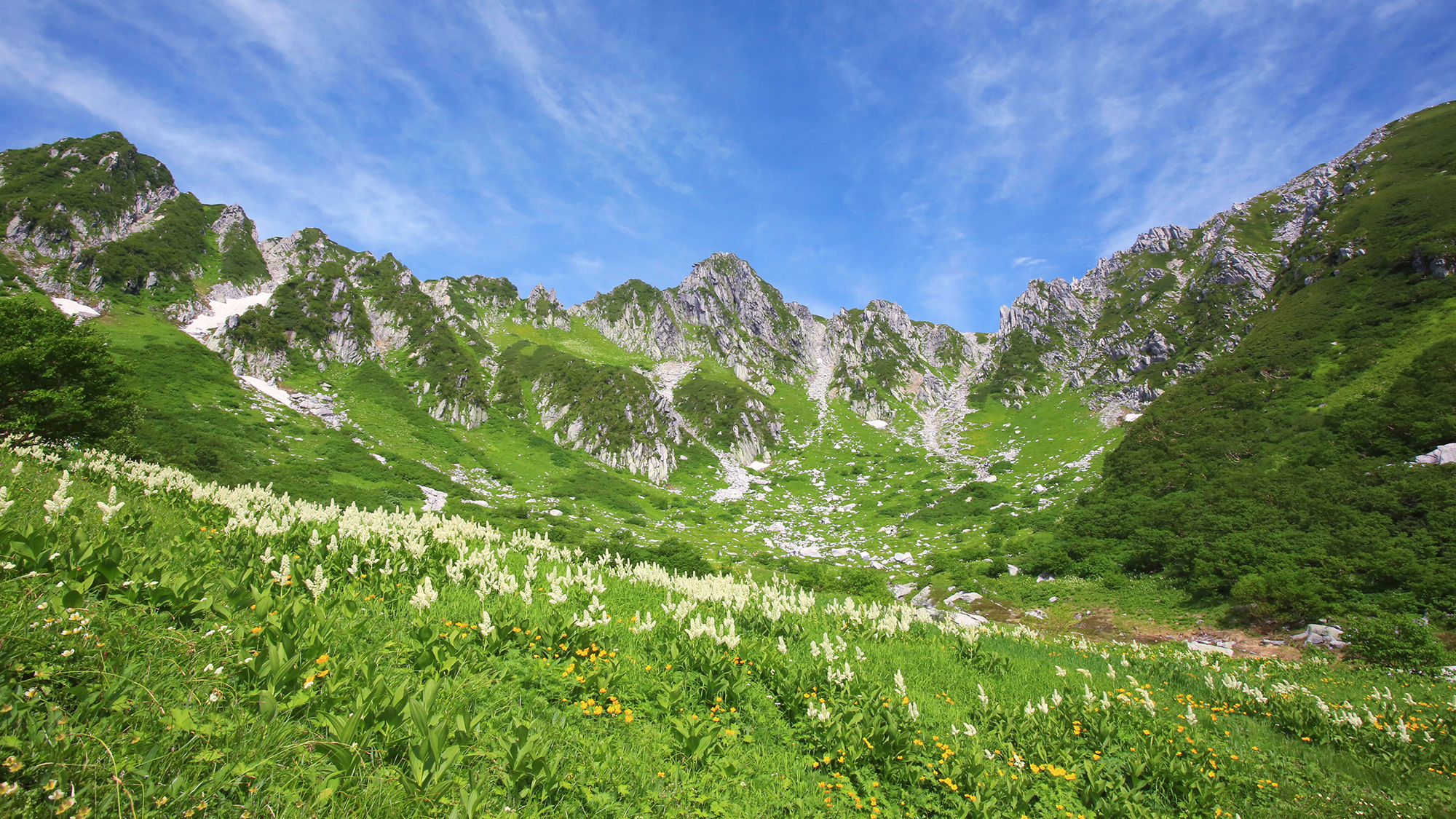 高山植物の宝庫としても有名な千畳敷カール