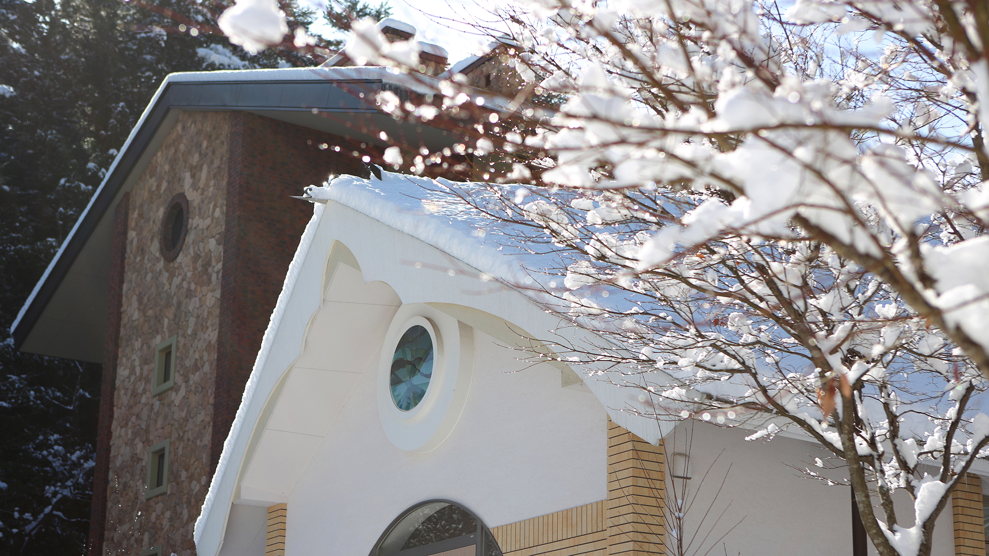 冬は幻想的な雪景色が楽しめます