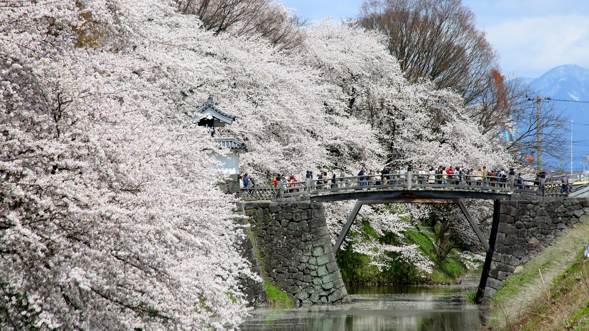 天然温泉　花笠の湯　スーパーホテル山形駅西口天然温泉 - 写真 84