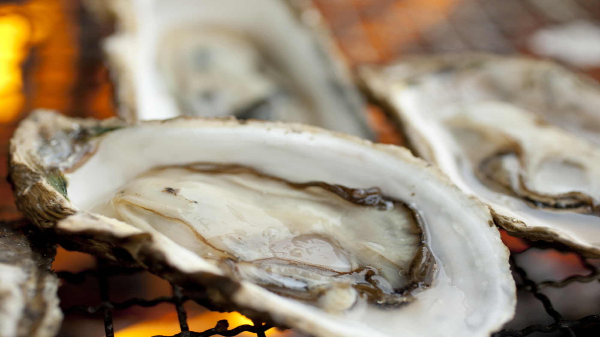 浦村牡蠣（焼き牡蠣）イメージ