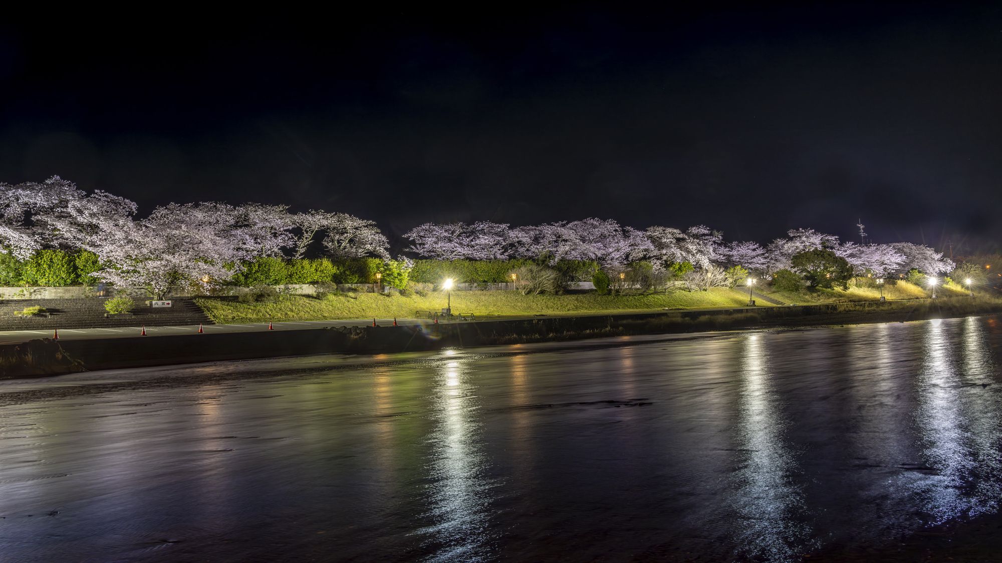 五十鈴川桜まつり（ライトアップ／日没後から21時頃まで）