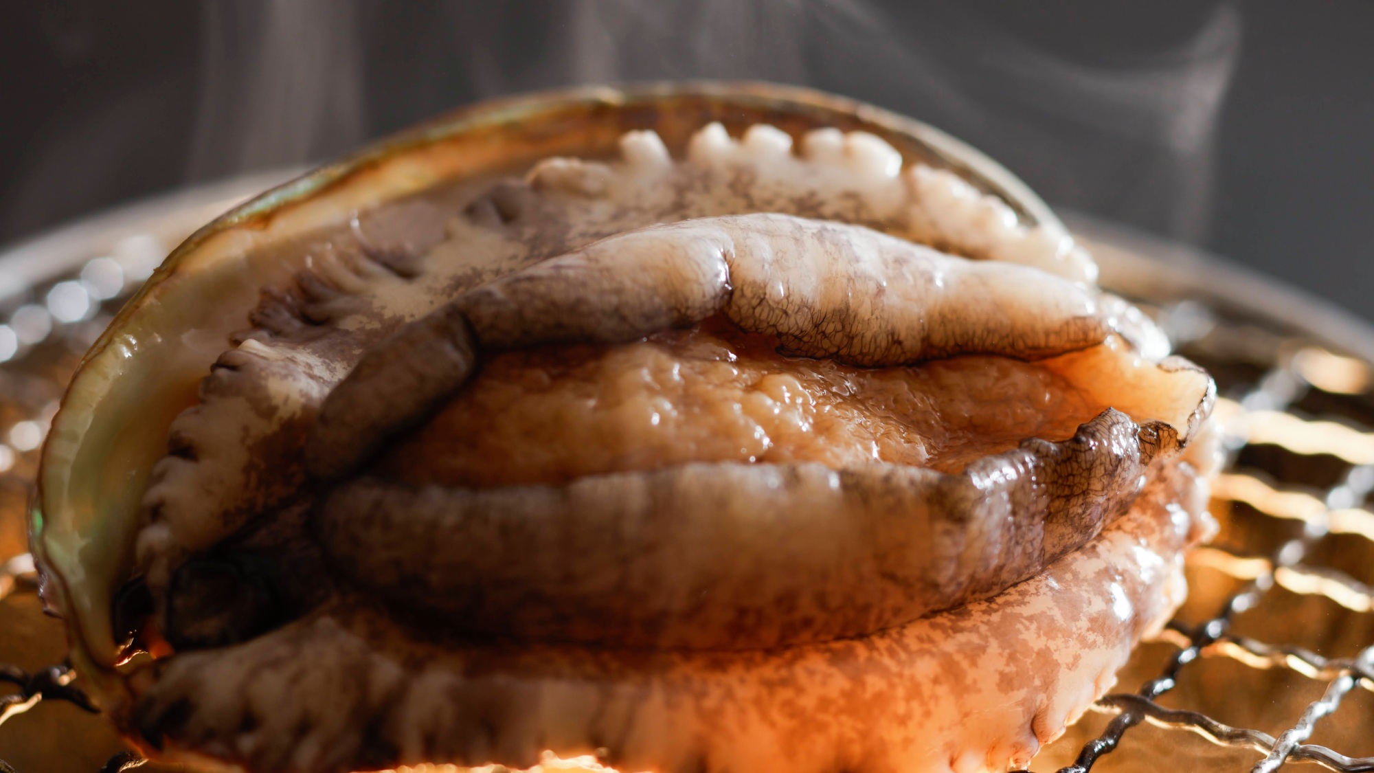 【特別会席】春(2026年3月～5月)  