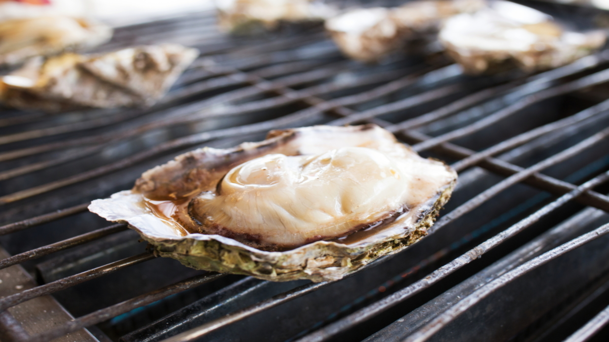 浦村牡蠣（焼き牡蠣）イメージ