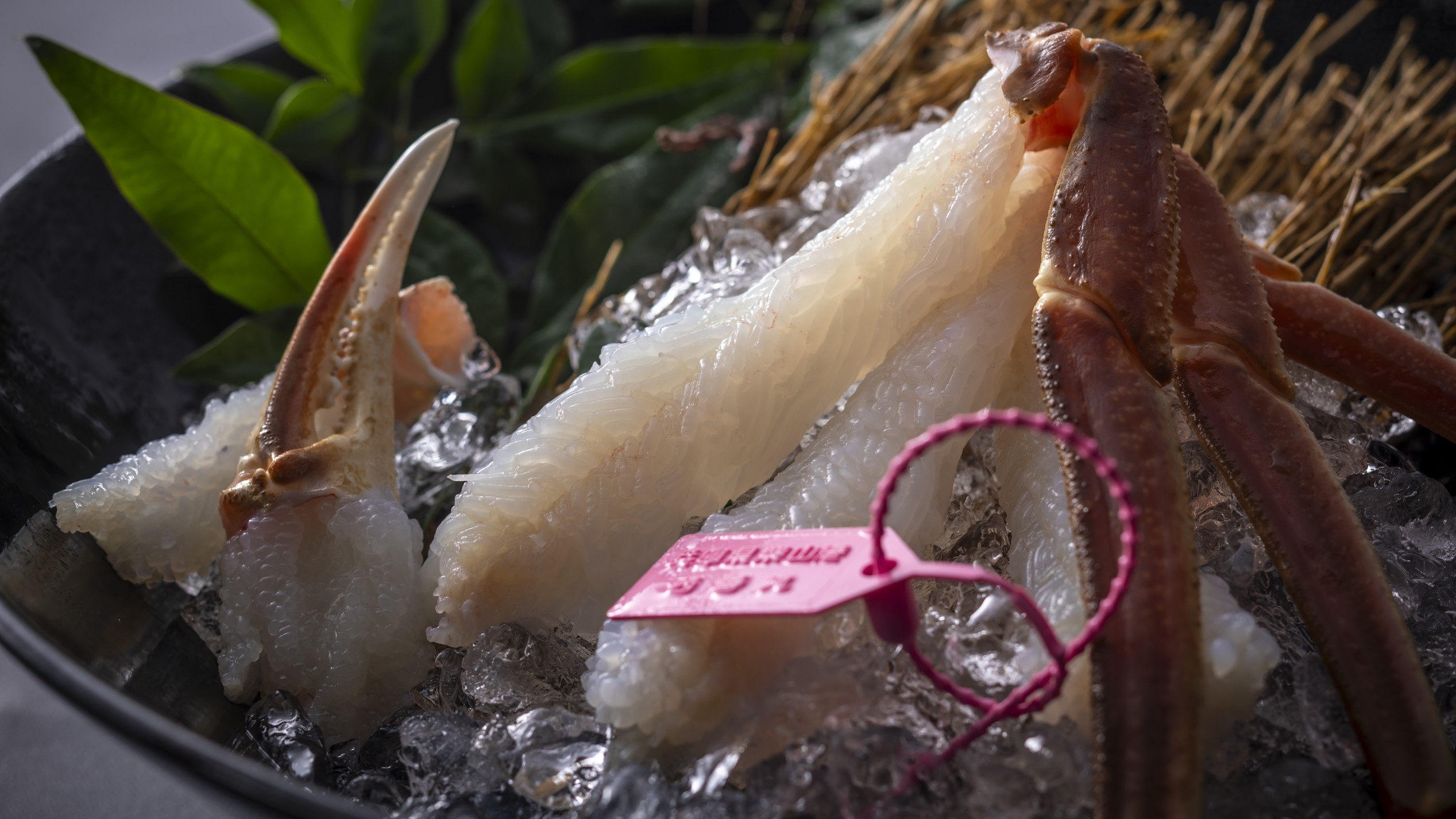 【秋冬SALE】【冬・2人で1杯茹で松葉蟹付・フルコース】平日限定◆蟹の天婦羅付