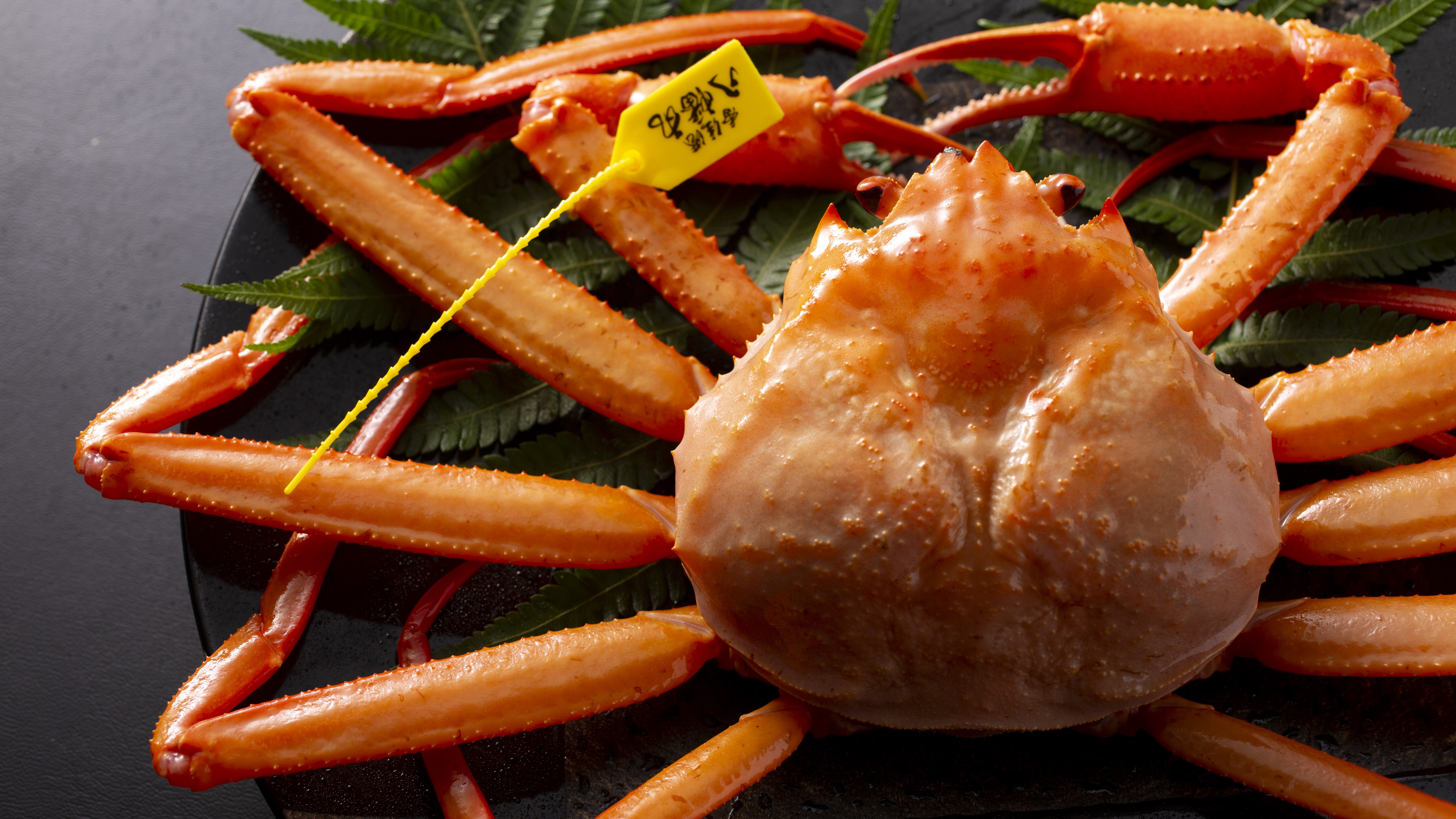 【香住ガニ】春と秋は香住ガニの季節。紅ズワイガニの上質なカニを「香住ガニ」と呼びます。