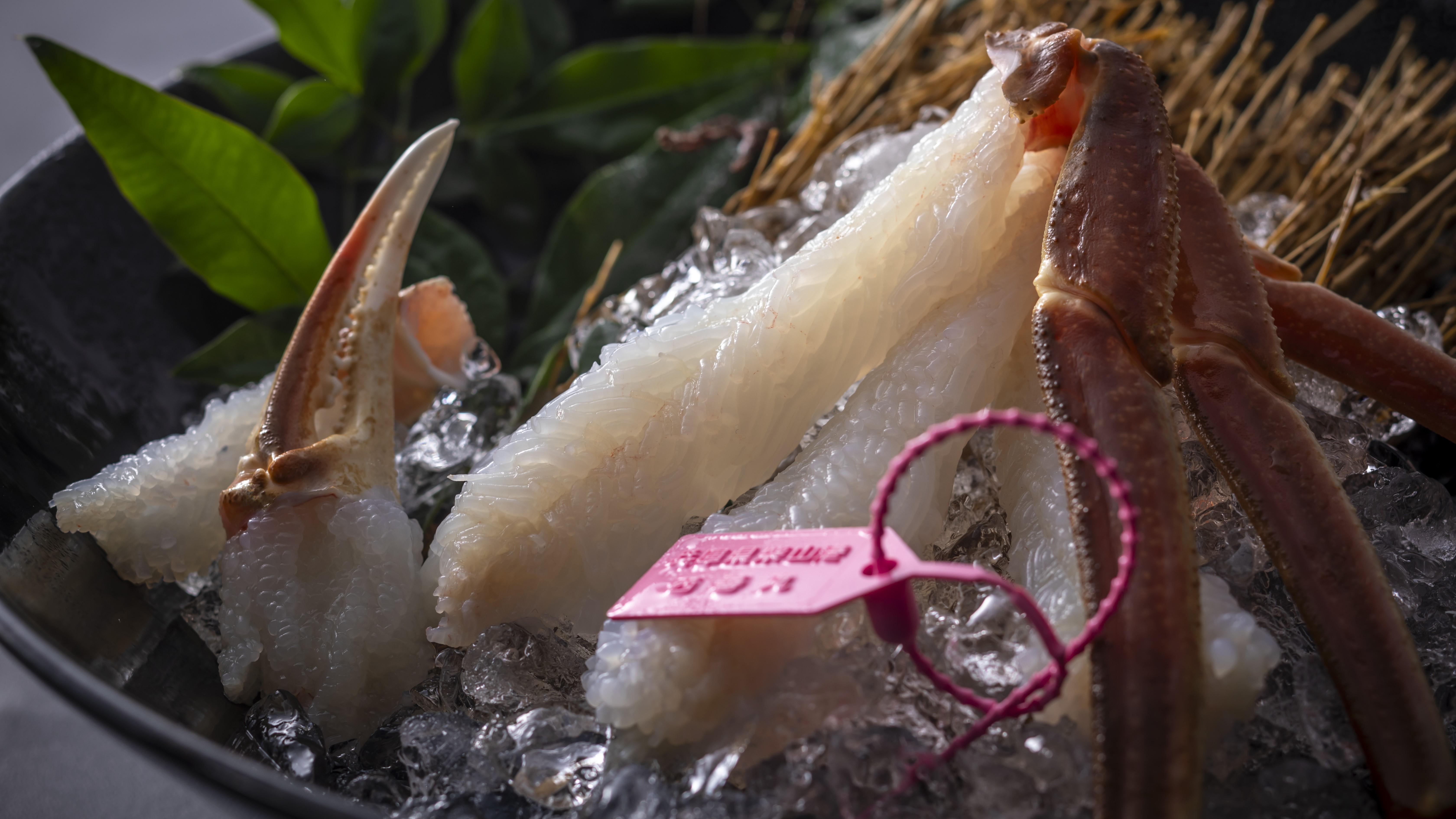 【蟹刺し】活松葉蟹の蟹刺しは繊維の旨味を感じられ、産地ならではの味わいです。