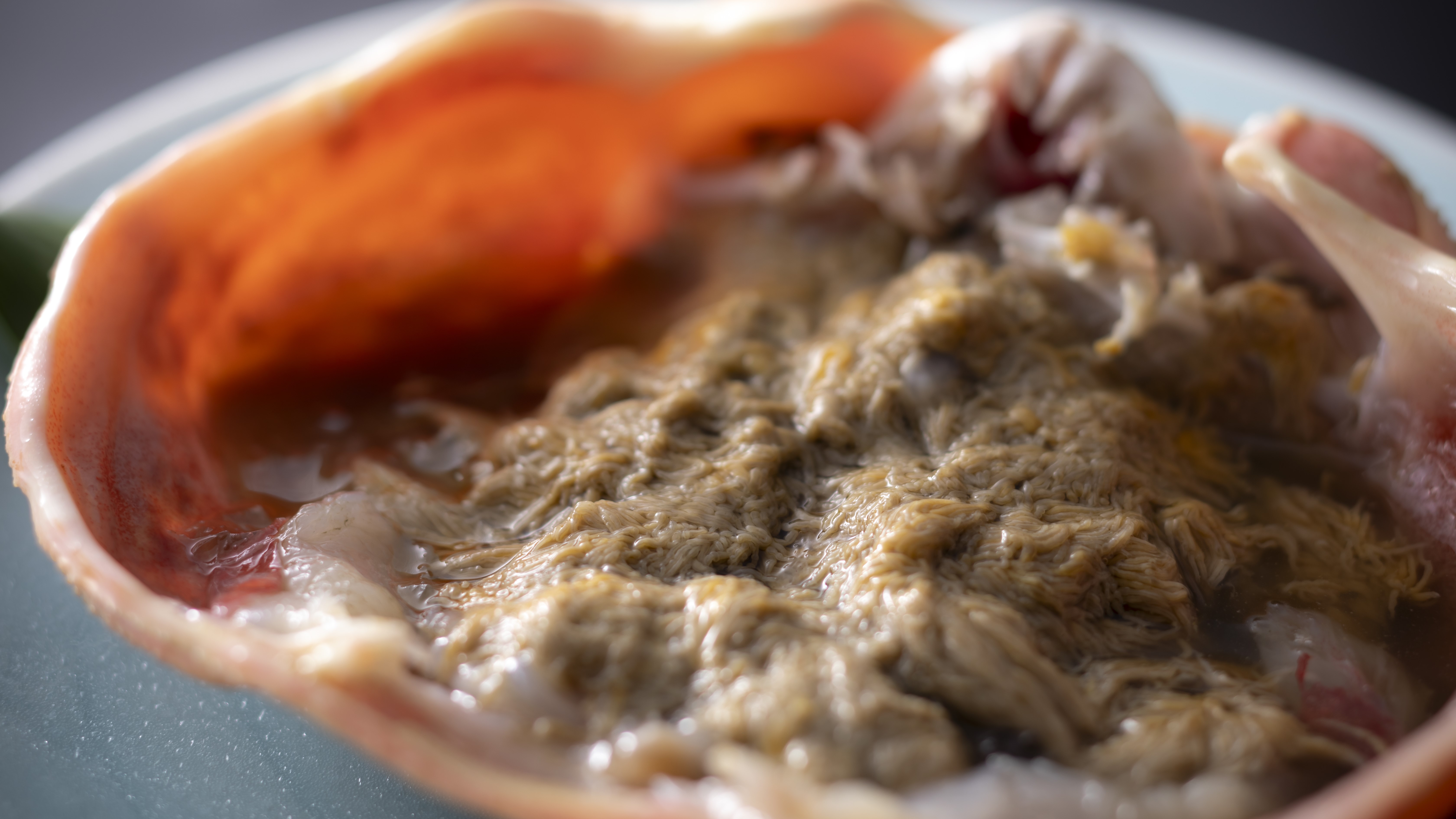 【活松葉蟹の蟹味噌】活蟹ならではの濃厚な味わいが楽しめる蟹味噌は焼き蟹でどうぞ。