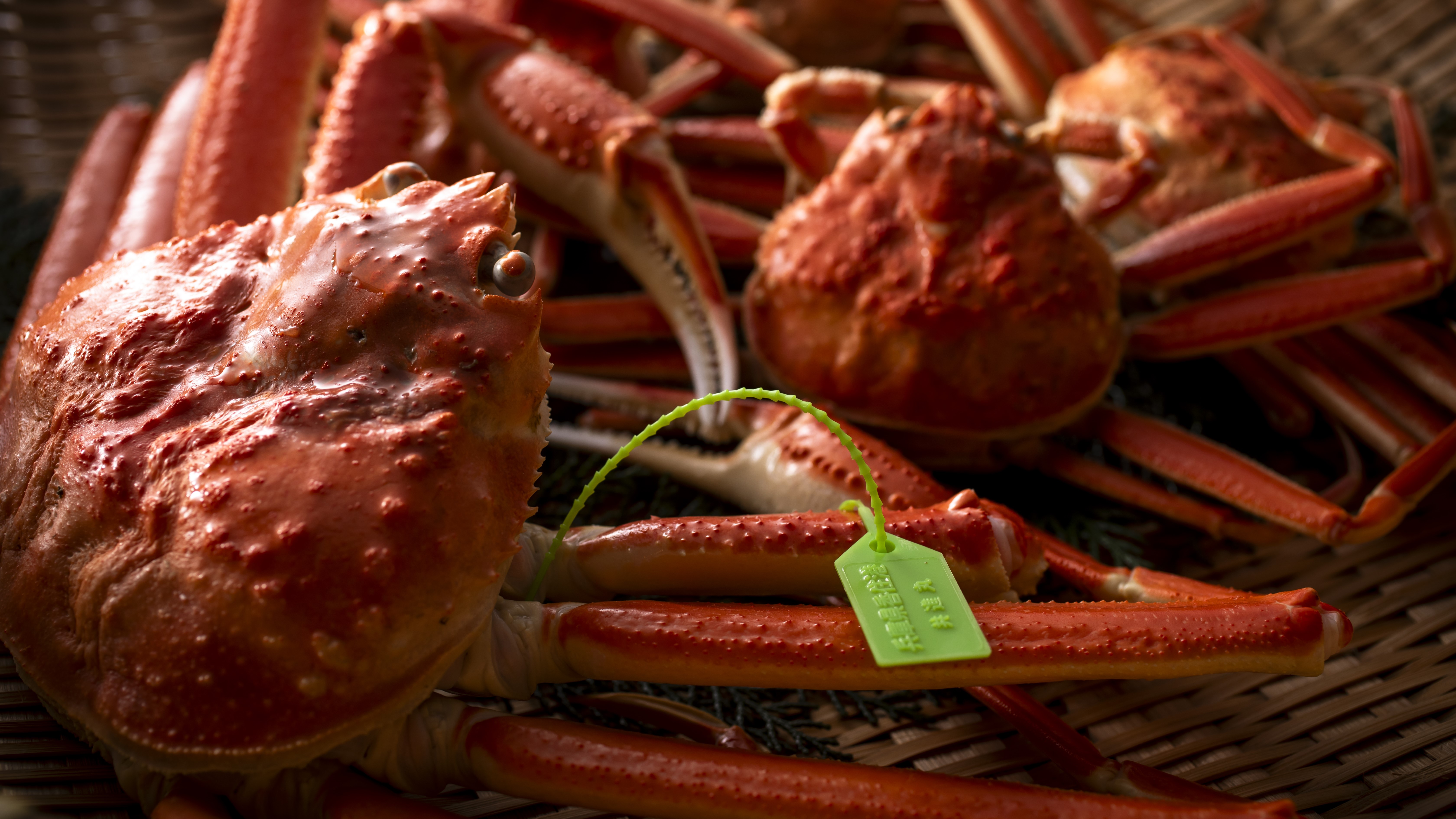 【活松葉蟹】蟹好きの方が一番好きな食べ方。本物の味を体感できる、茹で蟹の旨さ。