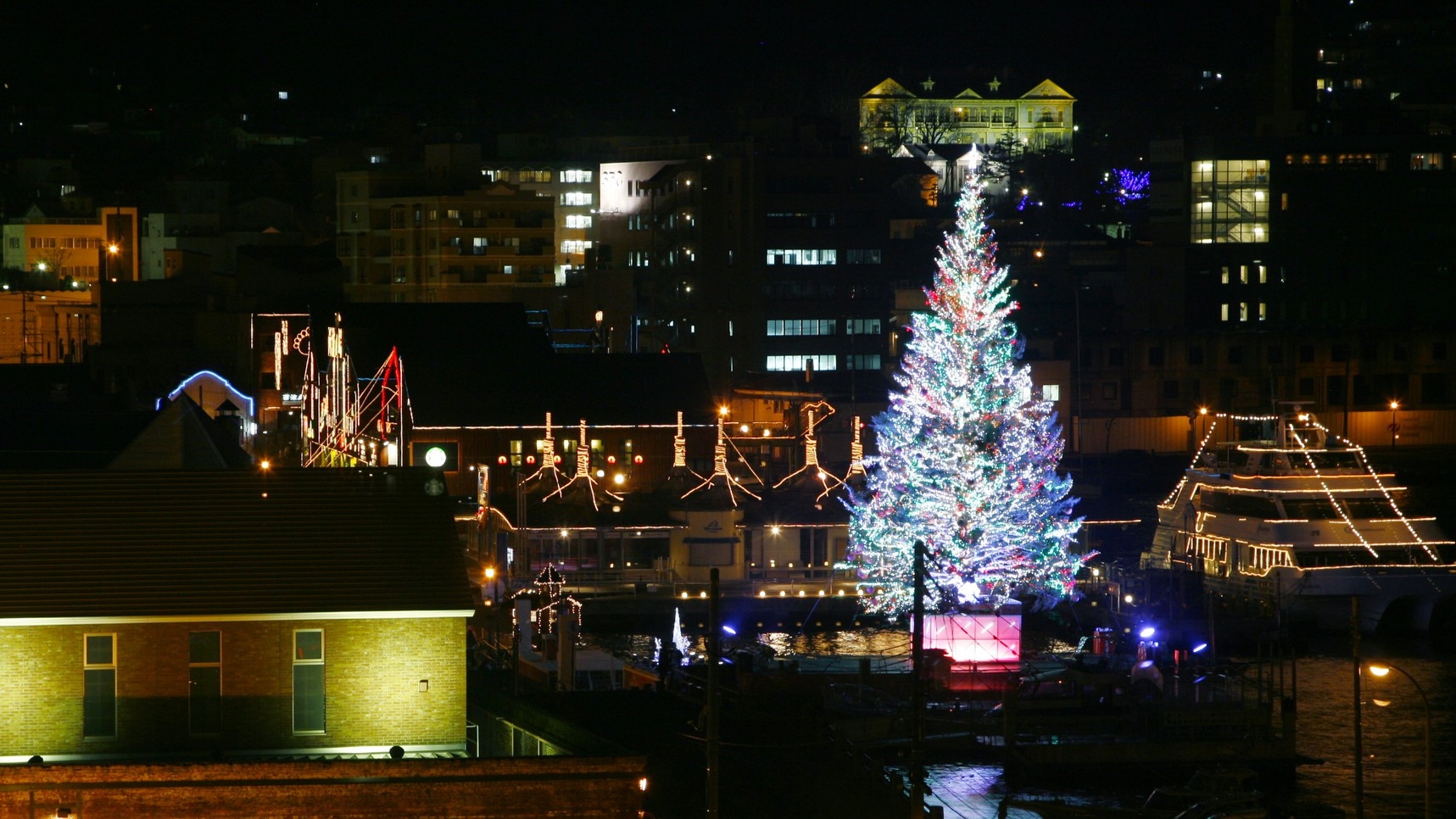 【2024★Christmas】特別な夜に…洋食グランノエルディナーコース★ツリーを望む眺望確約♪