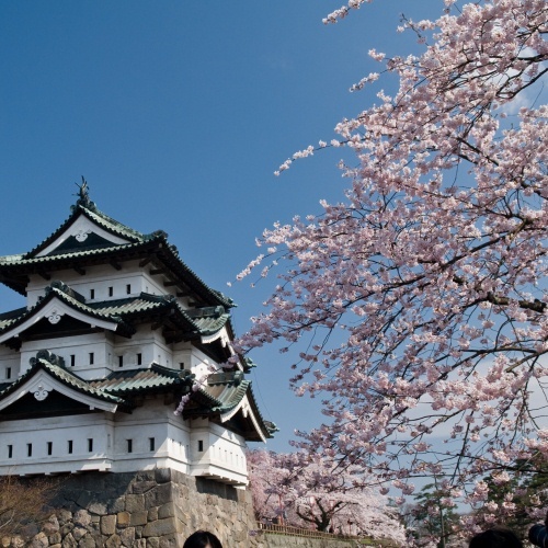 スーパーホテル青森 - 写真 105