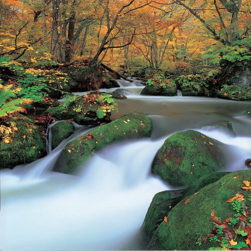 スーパーホテル青森 - 写真 116