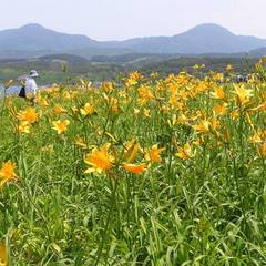 白神山地を望む