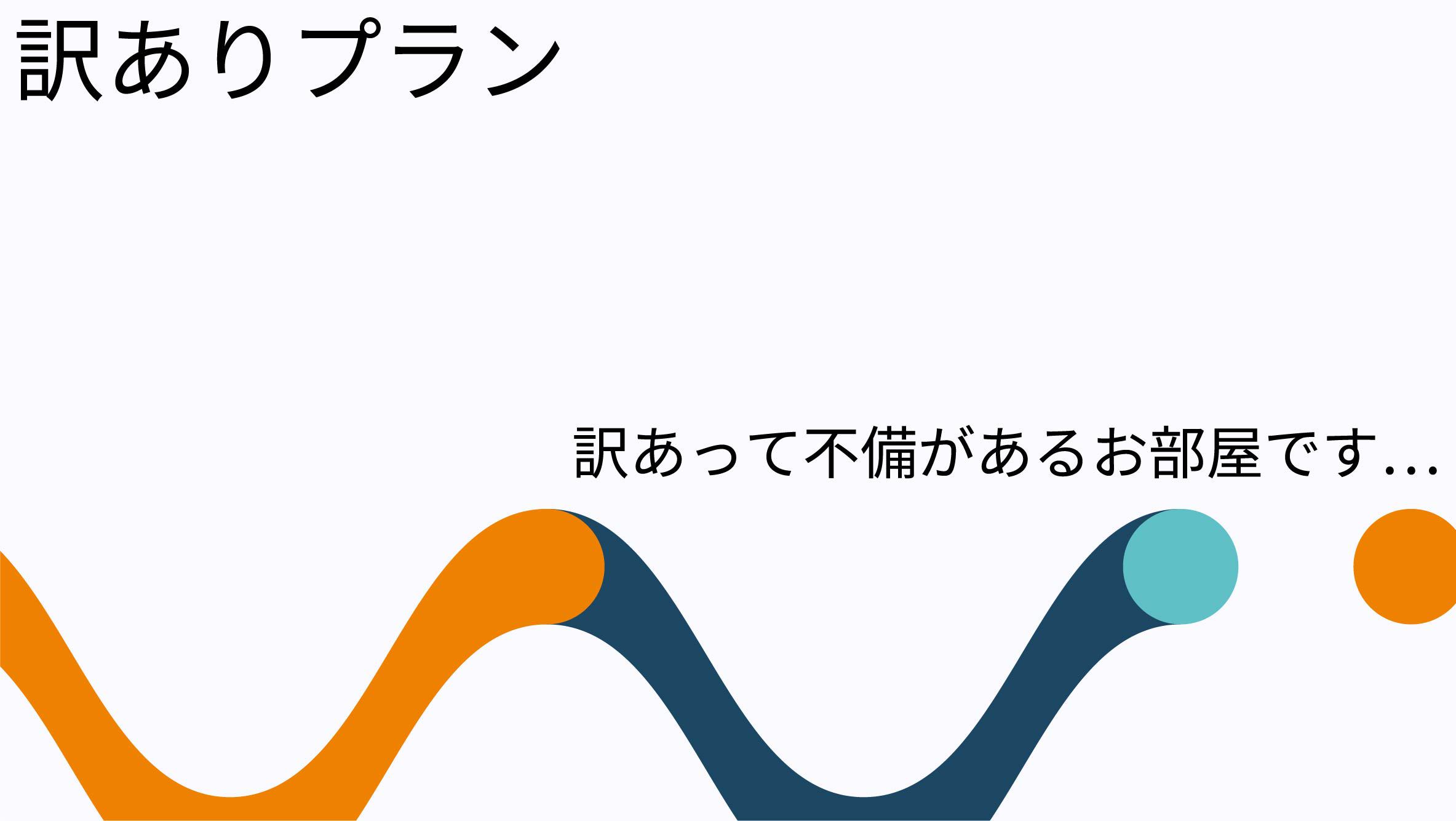 部屋数限定！訳ありお得プランシングル（素泊り）【禁煙】