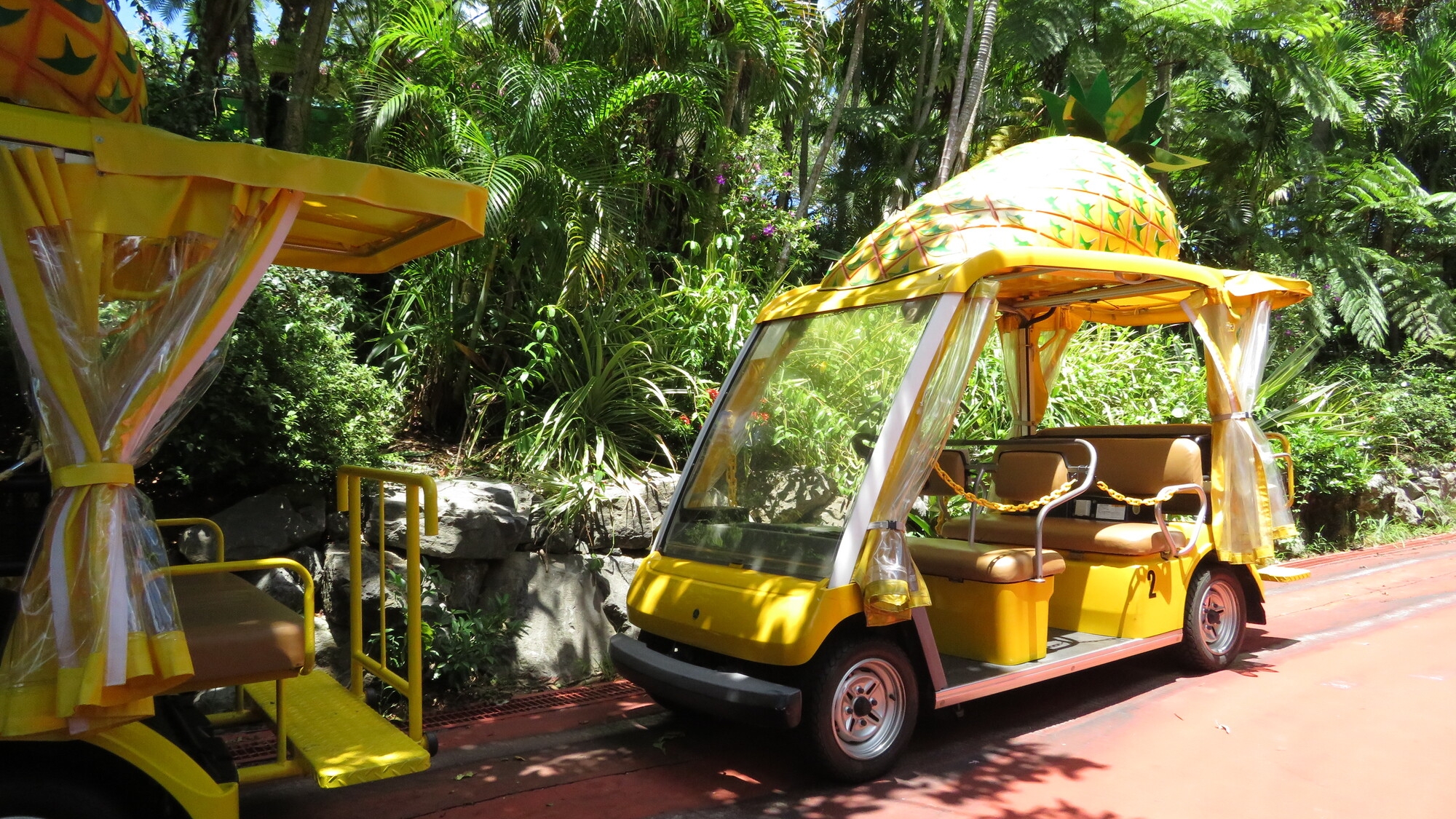 【当館から車で5分】自動運転のカートでパイナップル畑や植物園を巡る「パイナップルパーク」