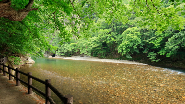【特別会席・囲炉裏・夏】帆立や秋田錦牛、秋田名物などを風情溢れる囲炉裏で楽しむ