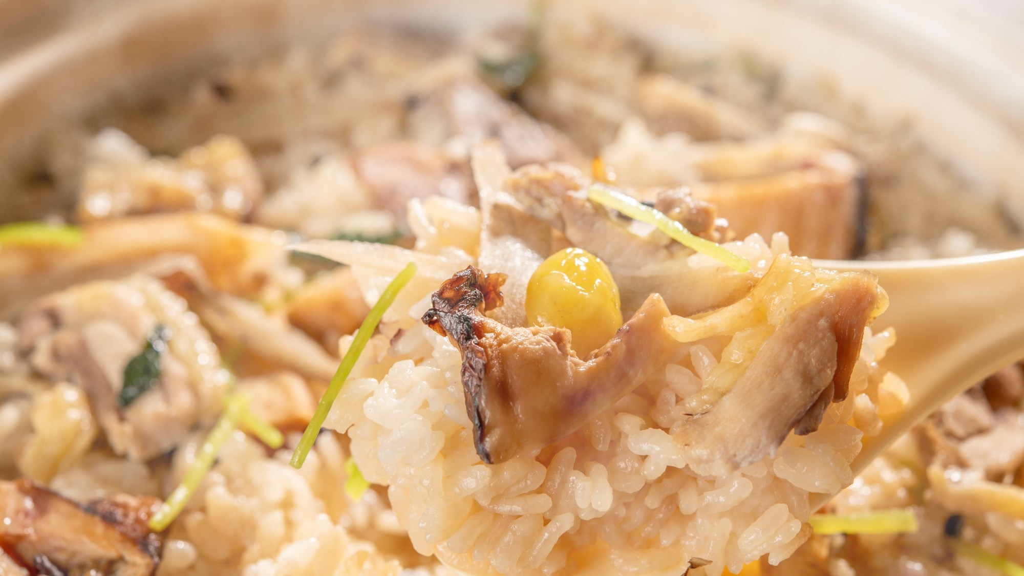 【極み会席・囲炉裏・秋】松茸の土鍋ご飯や土瓶蒸し、秋田錦牛などを囲炉裏料理で堪能