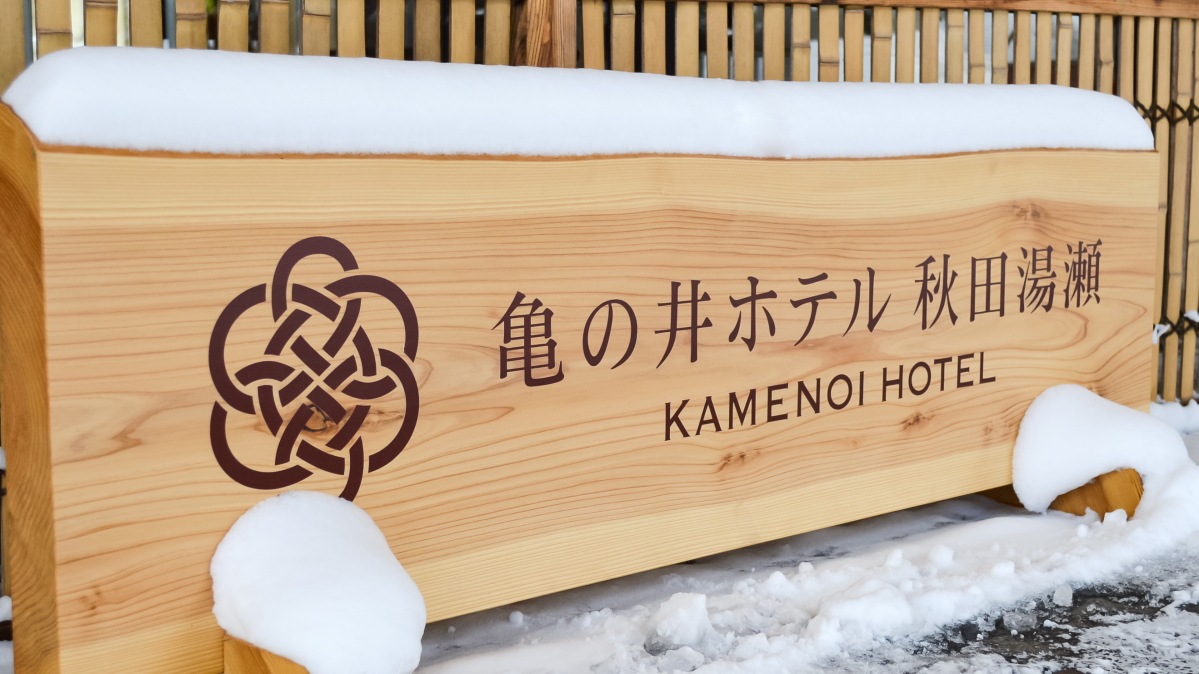 玄関前にある看板もうっすら雪化粧