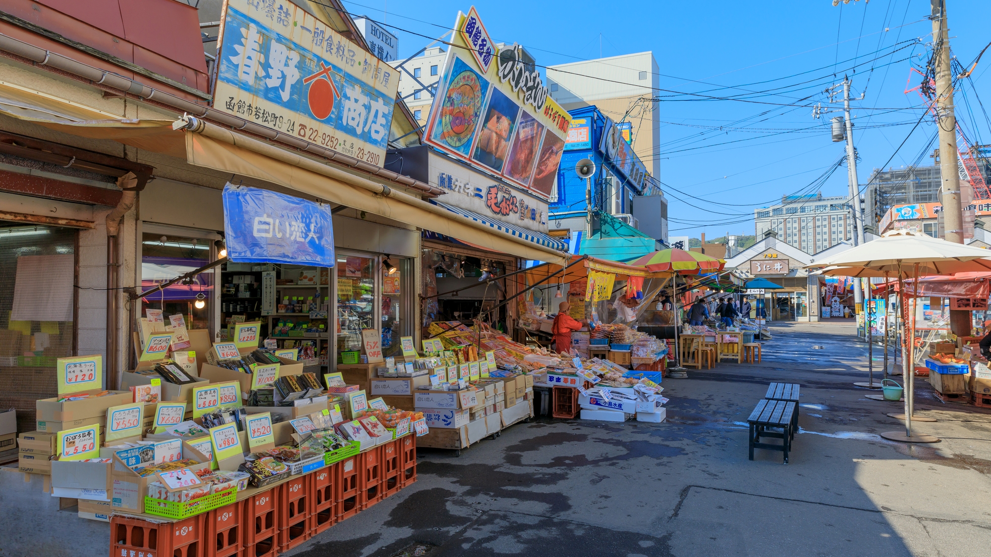 【当館から徒歩で約10分】函館朝市