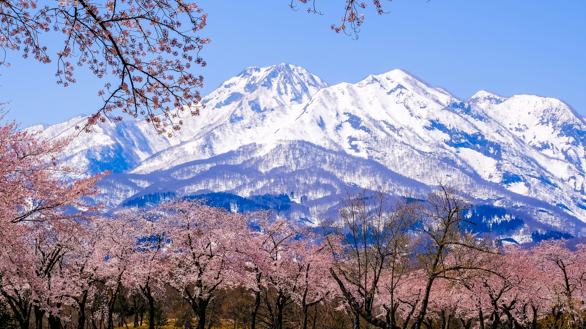 【当館から車で約40分】登山やハイキング、スキーなど一年を通して楽しめる「妙高山」