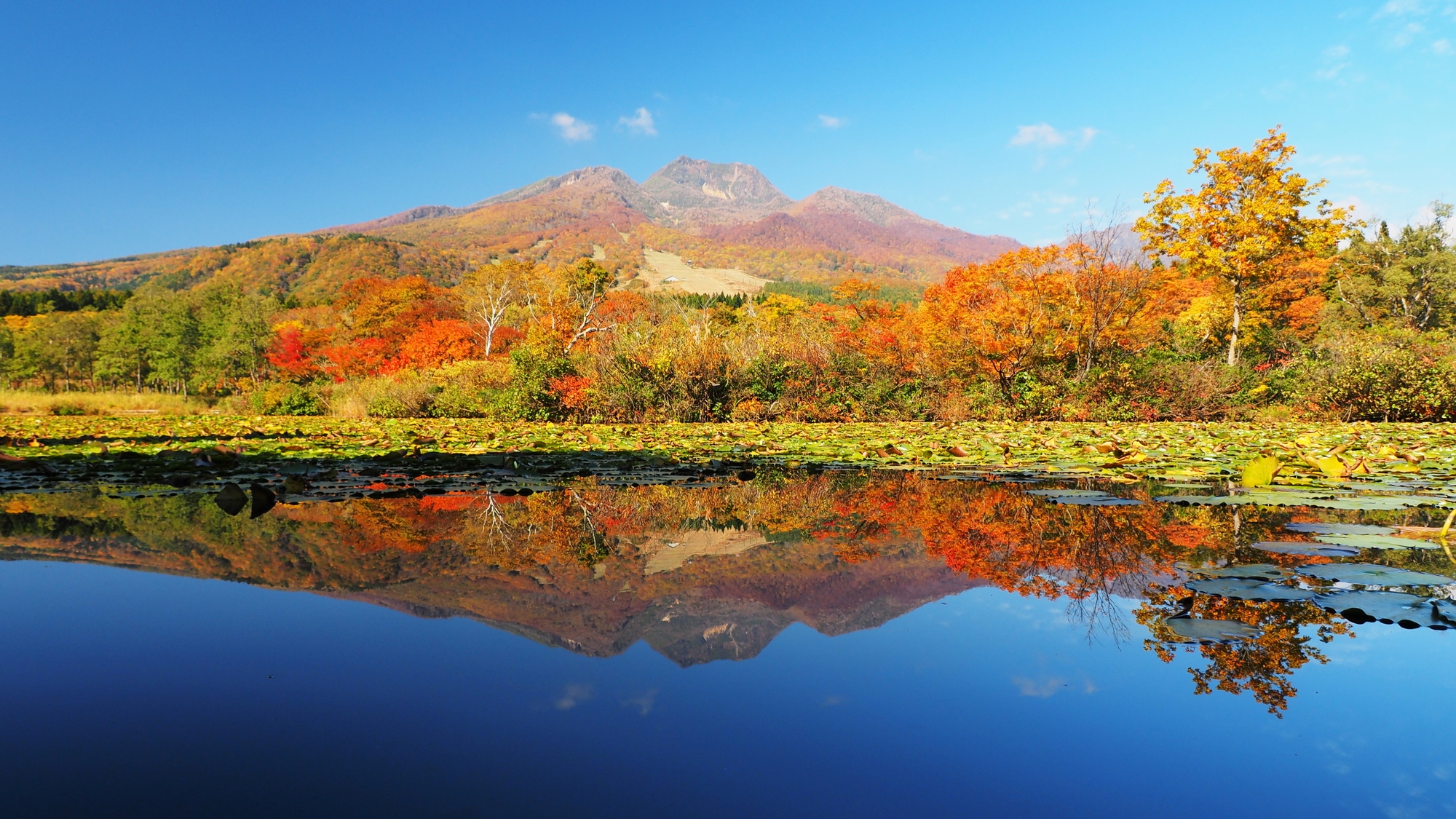 妙高山を水面に映す美しい「いもり池」遊歩道があり散策に最適