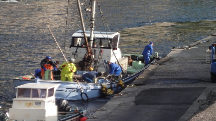 【2食付き】＜鮮度抜群！伊豆の地魚プラン＞地元定置網・伊豆近海で水揚げされる鮮度抜群の地魚を堪能！