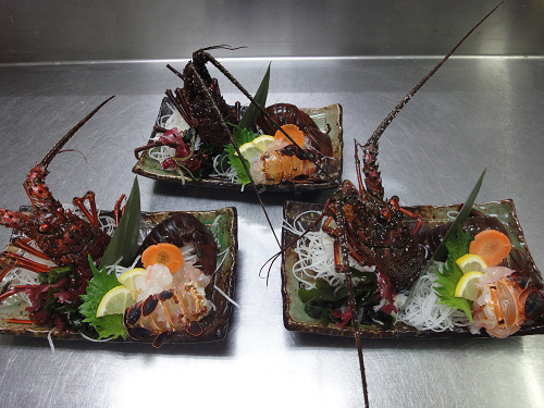 梅のお宿 温泉民宿 宮田荘 格安予約 宿泊プラン料金比較 トラベルコ 梅のお宿 温泉民宿 宮田荘 格安予約 宿泊プラン料金比較 トラベルコ