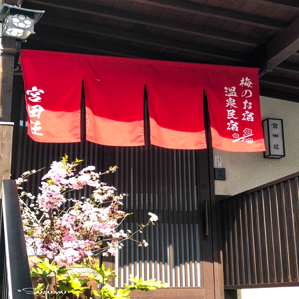 梅のお宿 温泉民宿 宮田荘 宿泊予約 楽天トラベル 梅のお宿 温泉民宿 宮田荘 宿泊予約 楽天トラベル