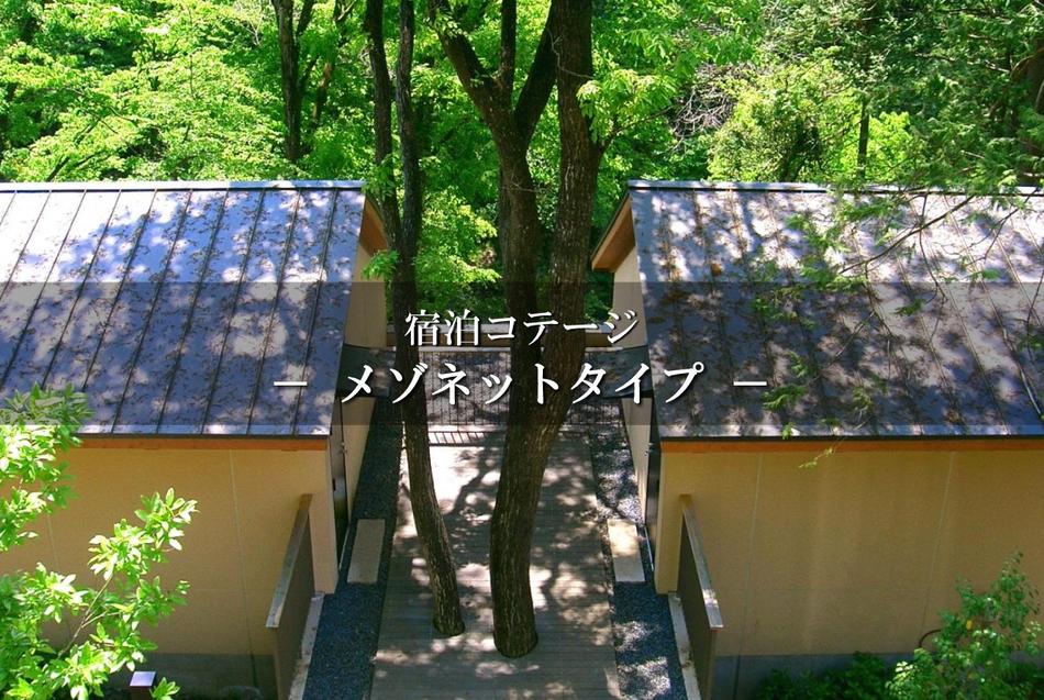 秋川渓谷 瀬音の湯 コテージ メゾネットタイプ 楽天トラベル