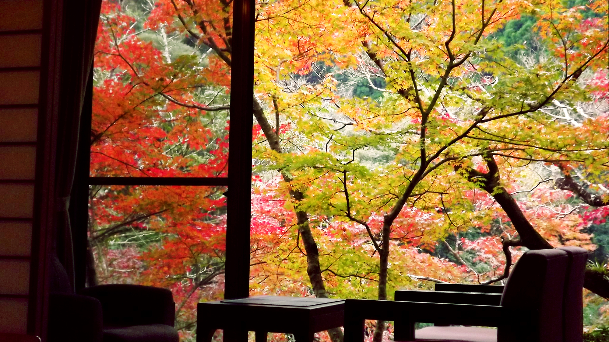 【お部屋からの景色】11月中旬～12月上旬は紅葉が美しい。客室の窓には色鮮やかな景色が広がる