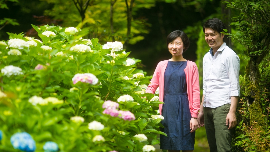 6月には敷地内のあじさいが見ごろに。梅雨時期の雨天であっても、雨に濡れた花も美しい。