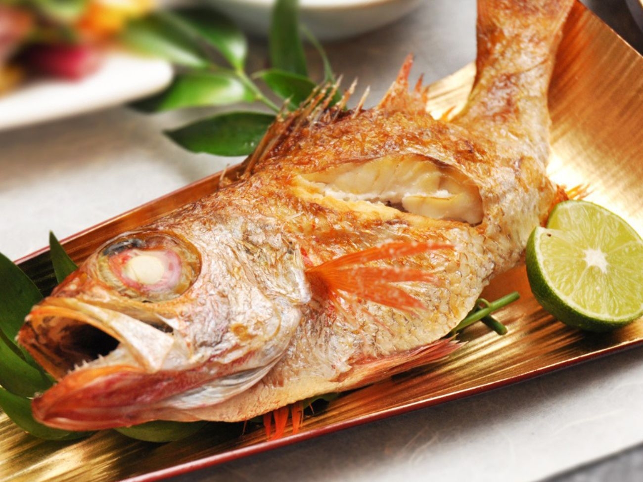 加賀橋立港産特選のどぐろ会席＜塩焼き・刺身orしゃぶしゃぶ・煮付け＆朝食にのどぐろ一夜干し＞1泊2食