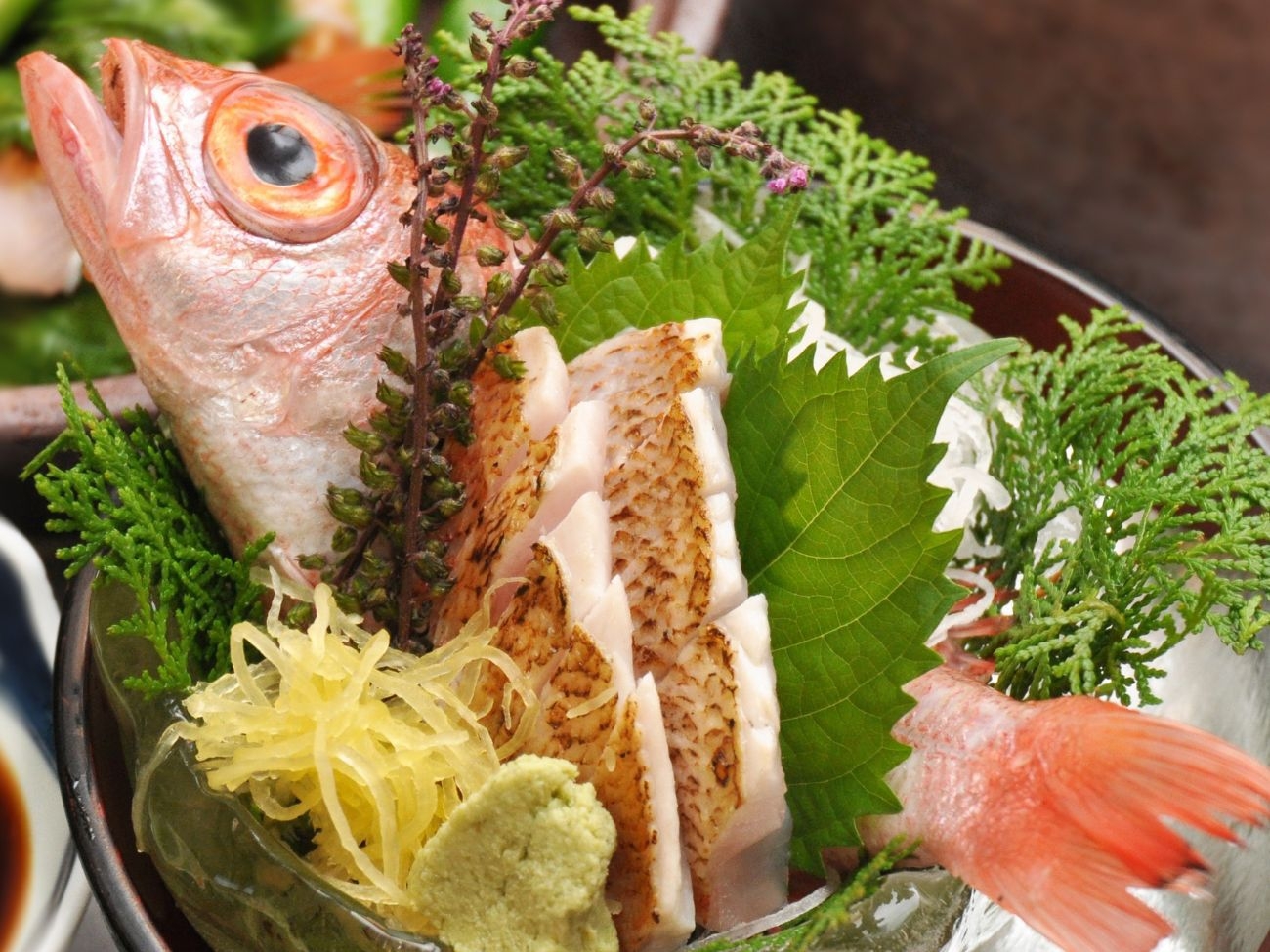 加賀橋立港産特選のどぐろ会席＜塩焼き・刺身orしゃぶしゃぶ・煮付け＆朝食にのどぐろ一夜干し＞1泊2食