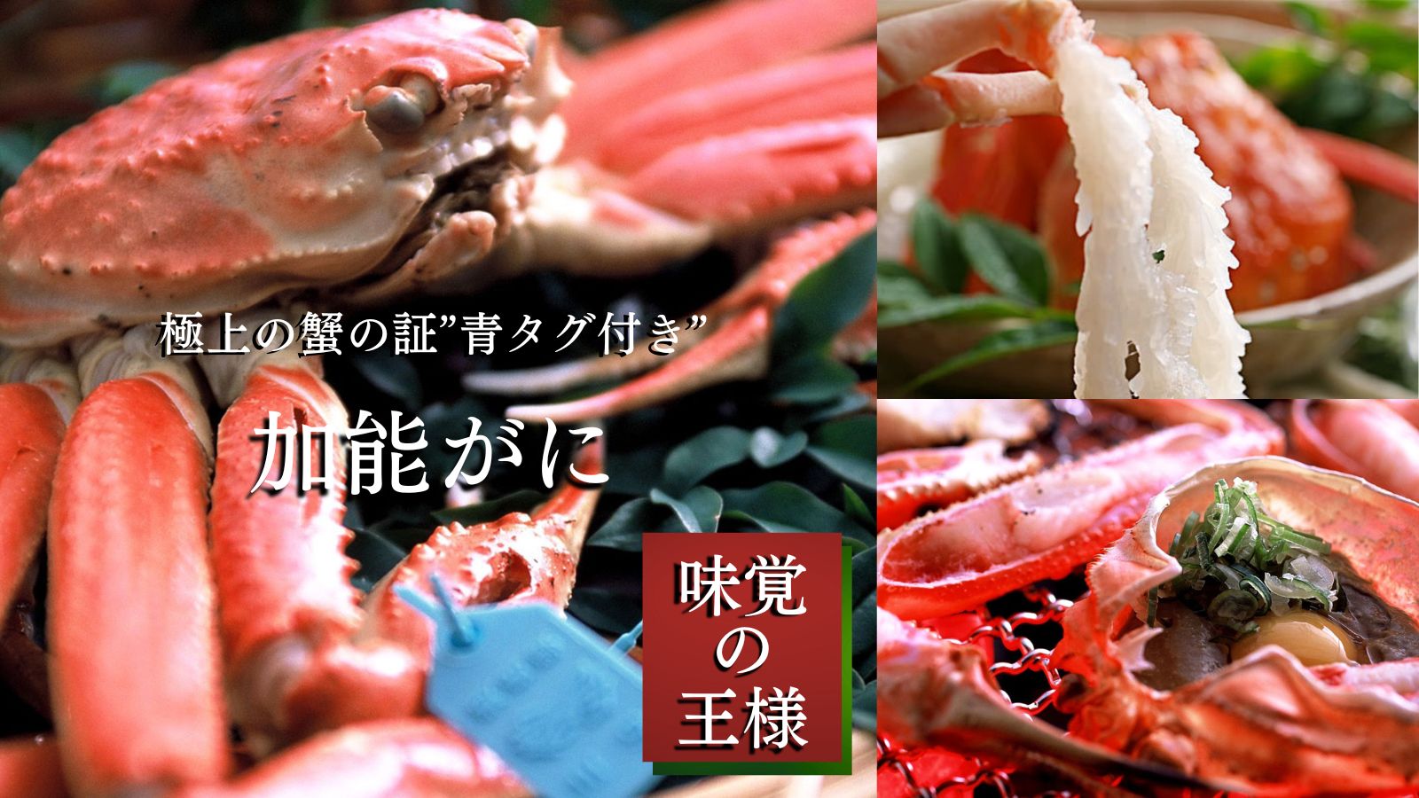 極上のカニにだけ許される【青タグ】。誰もが認める、美味しさが詰まった蟹をぜひご堪能下さい。