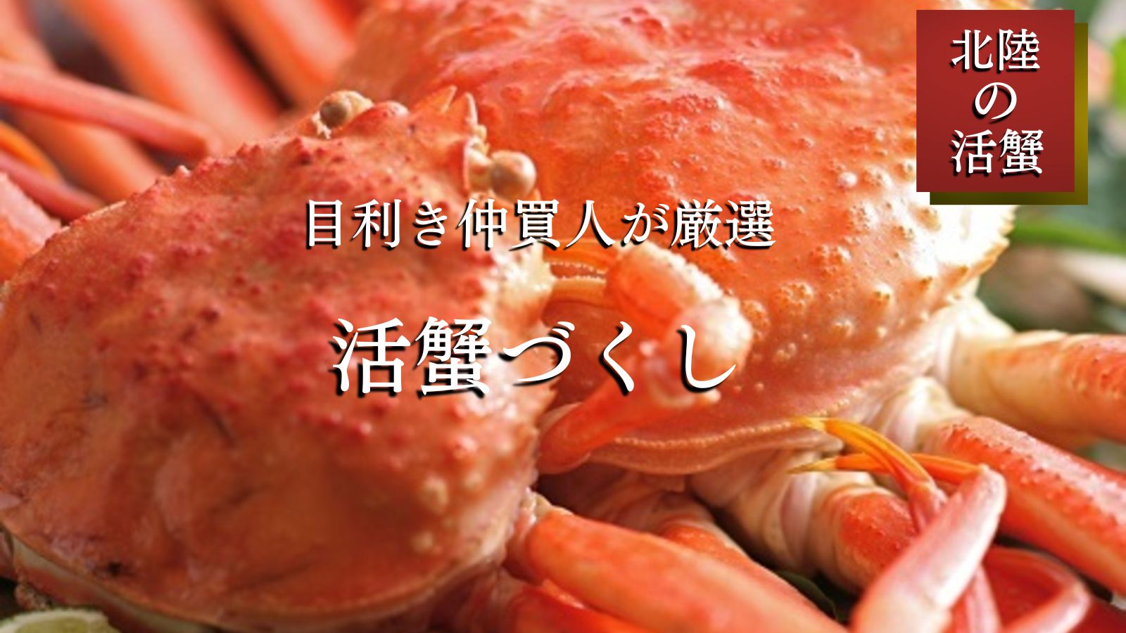 当館の活きガニは金沢中央卸売市場、 勤続45年の目利き仲買人の岡部さんが厳選。