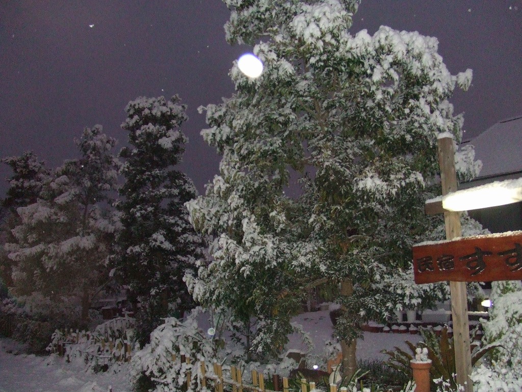 雪景色　１　南国鹿児島にも雪が降りました