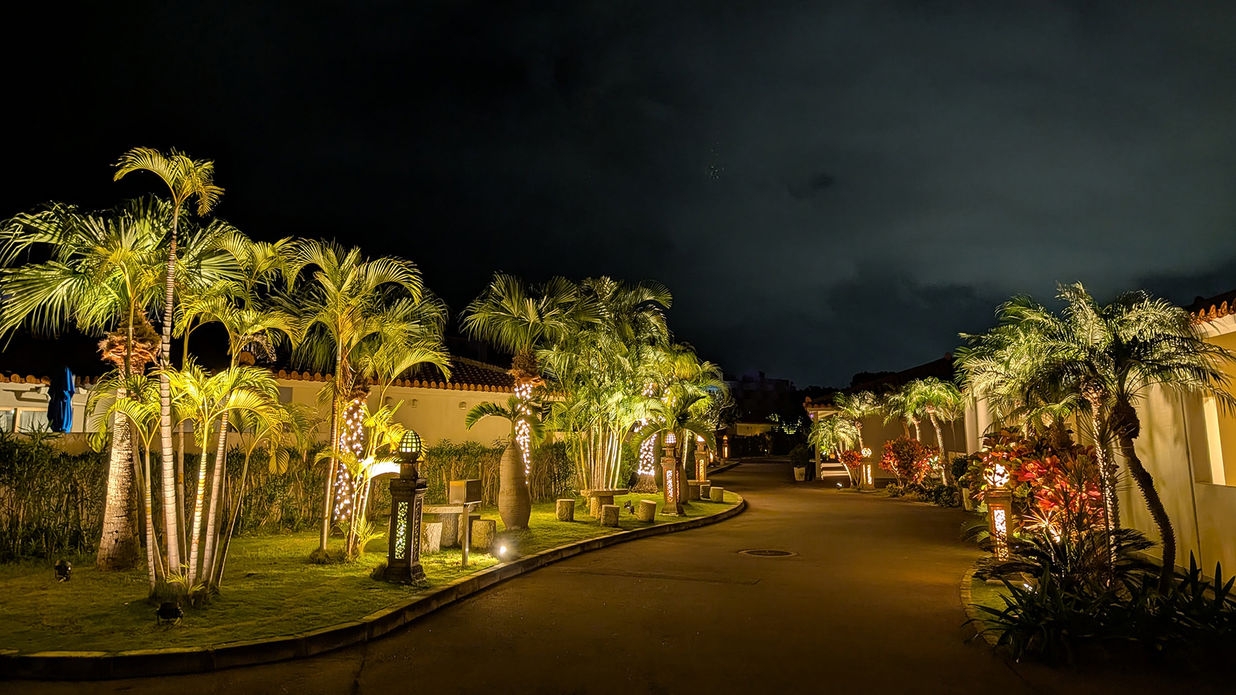 【2026石垣島トライアスロン大会】 アスリート応援プラン！ヴィラガーデン（素泊り）