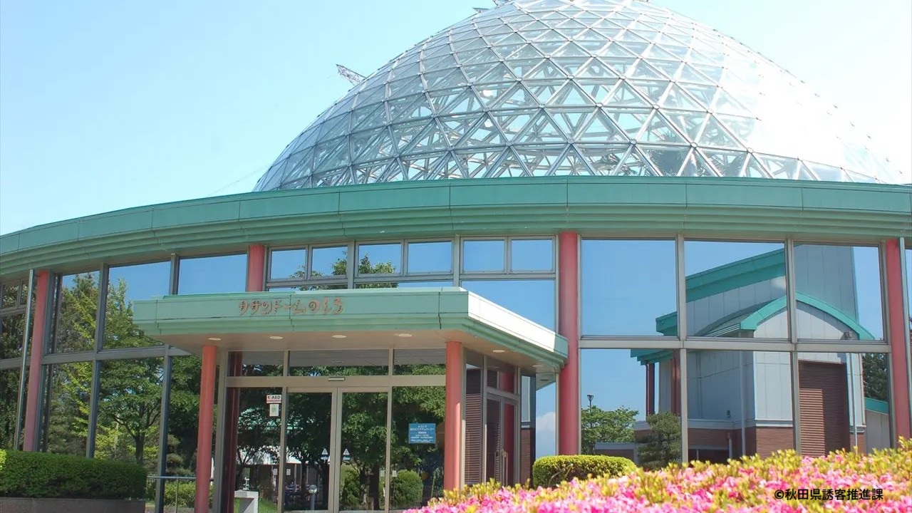 『能代エナジアムパーク』エネルギーの街・能代を称する様に火力、風力発電が盛ん