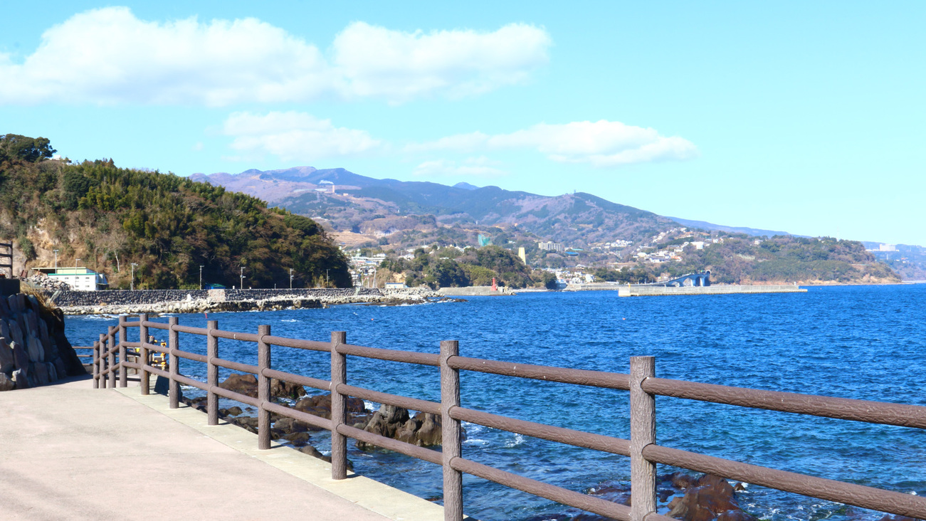 【かながわ冬の魅力発見】地魚舟盛 【桜】 魚三昧！新鮮だから味わえる“旬”を召し上がれ♪