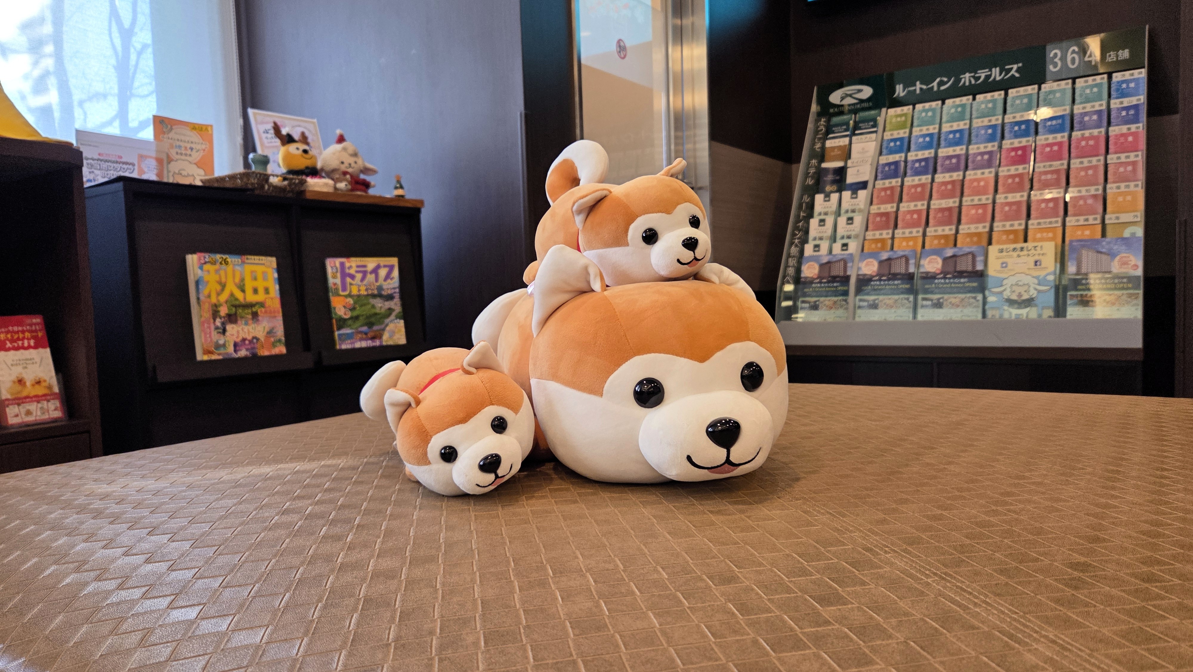 ■ロビー■　秋田犬のぬいぐるみがお出迎え！