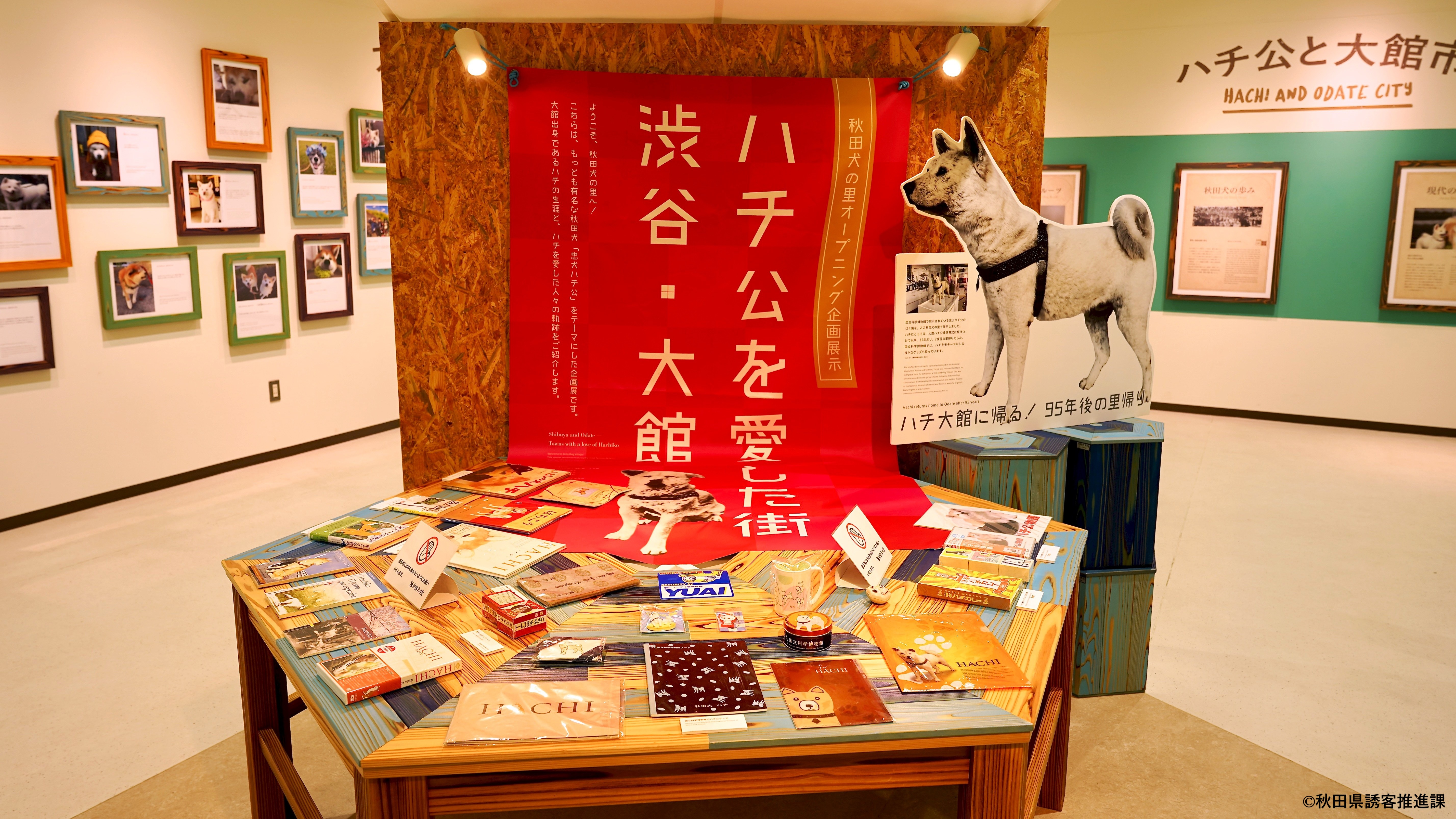 【秋田犬の里 】秋田犬ミュージアム
