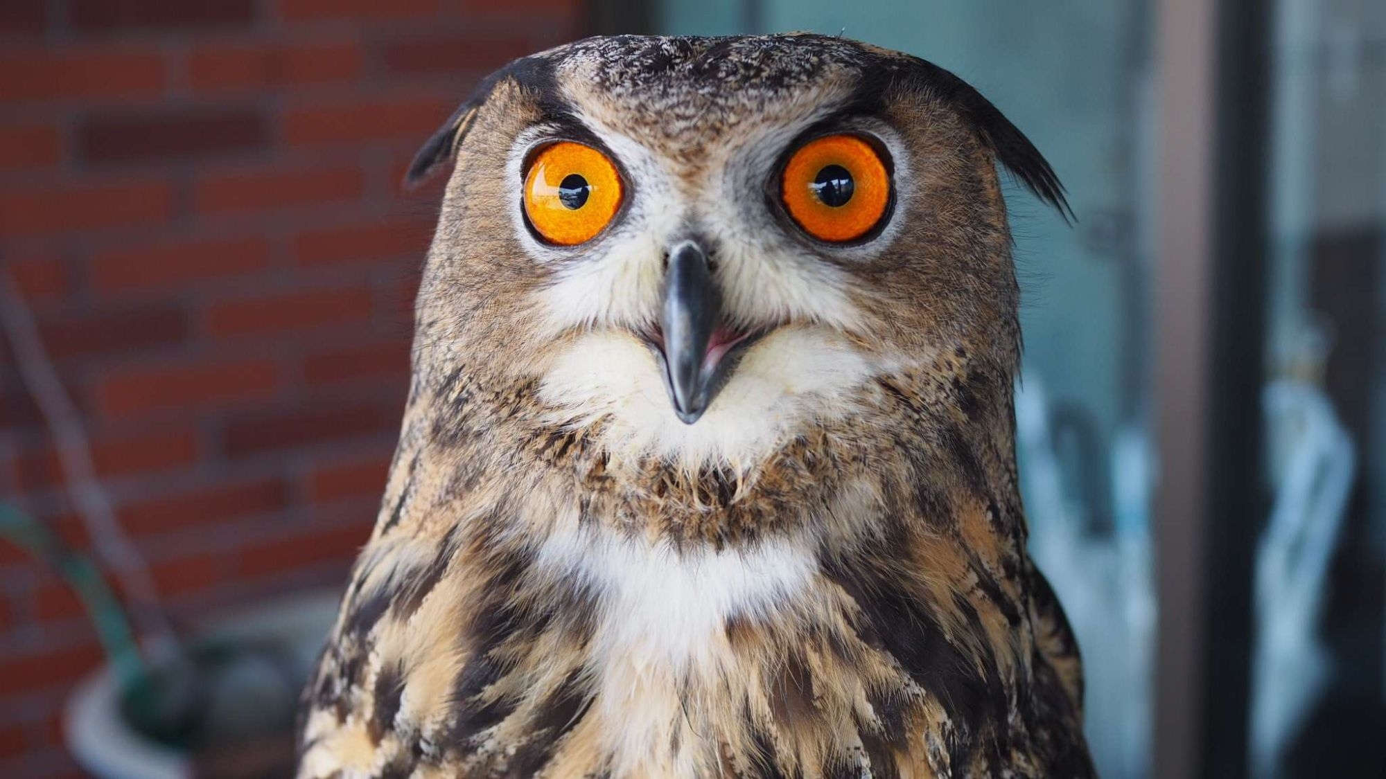 【素泊まりスタンダード】気ままな温泉旅やぴったり♪