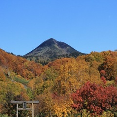 八甲田山・紅葉