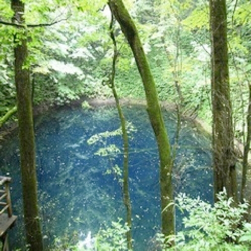 青森・青池