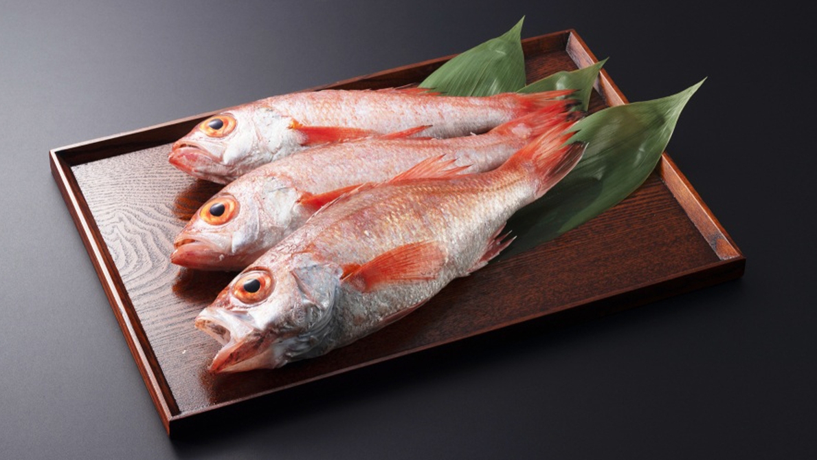 【期間限定】白身のトロ！極上の脂と旨味が人気の高級魚を食べつくす　数量限定「越中ノドグロ尽くし膳」