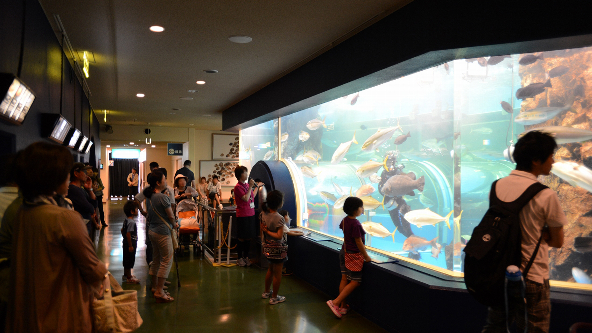 【魚津市　魚津水族館　車で２２分】富山湾の魚や世界の珍魚を展示をする国内で現存する最古の水族館です