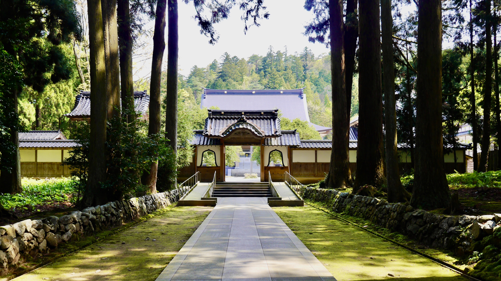 【上市町　眼目山立山寺　車で７分】県指定天然記念物の「とが(栂)並木」は山門前の参道にあります