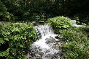 池山水源②