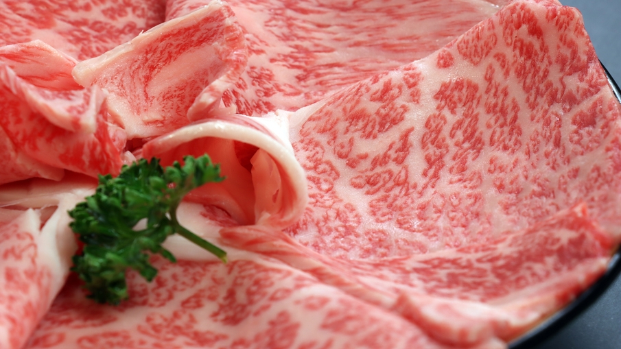【冬季限定・旬の葱尽し】［葱弐 NEGI-NI］下仁田葱しゃぶしゃぶ×大名焼き×葱の天ぷら《二食付》